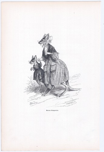 Animaux savants granville 1842 - granville,