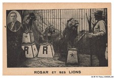 CG-BFP3-1072-SPECTACLE - Cirque - Dompteur - Lion