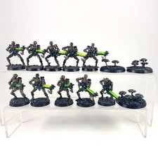 x13 Guerriers + Scarabés