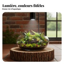 Éclairage LED pour