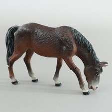 Lineol allemagne cheval broute - allemagne,