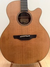 Takamine EAN40C Cedar/Mahogany