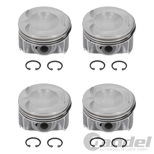 Nüral piston segments - +, +