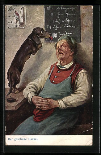 Carte postale échec - , teckel