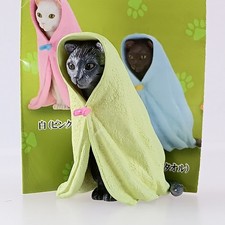 Chat écaille de tortue