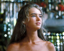 Brooke Shields [1001594] Photo 8x10 (Autres Tailles Disponibles)