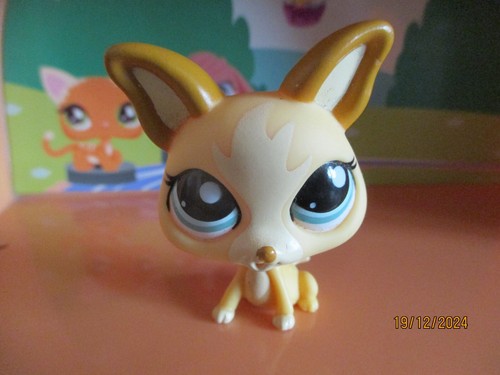 Petshop chien chihuahua - petshop,