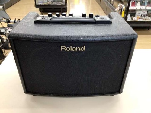Roland guitar amplifier 33 - guitar, ac-33