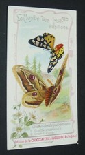 CHROMO 1895-1905 CHOCOLAT AIGUEBELLE MONDE INSECTES PAPILLONS ECAILLE PAON NUIT