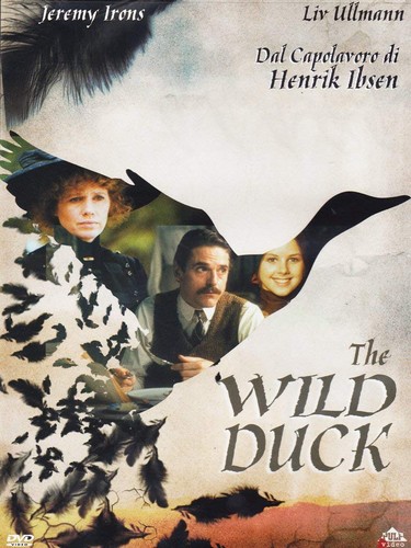 The wild duck - wild,