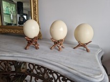 Oeuf d'autruche sur son support en bois exotique