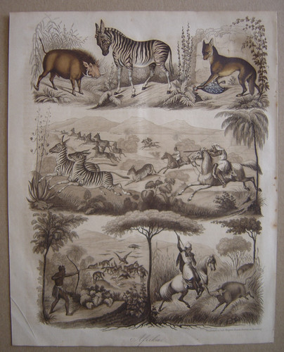 Belle gravure chasse - gravure,