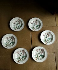 Botanica villeroy boch - botanica,