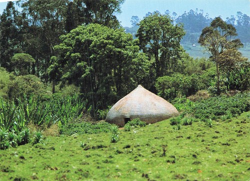 Ethiopie sidamo woven bamboo - woven,