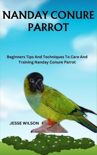 Nanday conure parrot - nanday,