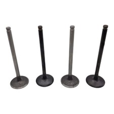 Soupapes d'admission pour AX