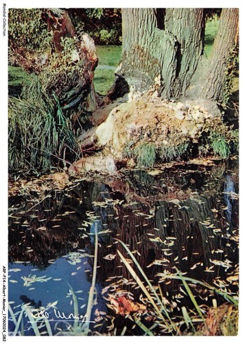 Arpp14 0951 albert - arpp14-0951-albert-monier,