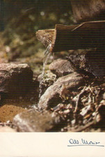 Albert MONIER cartes postales