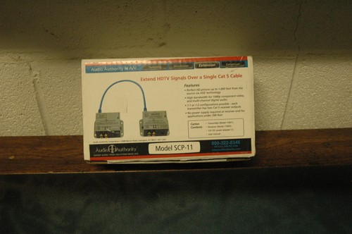 P11 cat dig audio - 5,