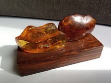Deux pièces d’ambre sur