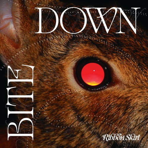 Ribbon skirt bite down - ribbon,