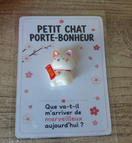 Mini chat porte bonheur - mini,