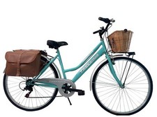Vélo Femme De Promenade