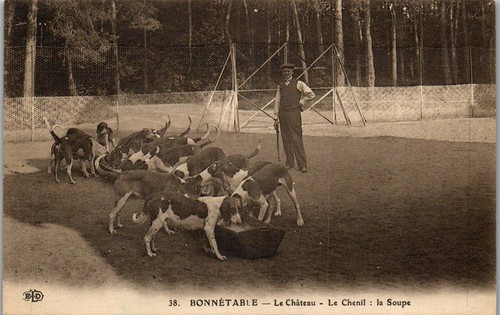 Bonnetable chenil du - bonnetable,