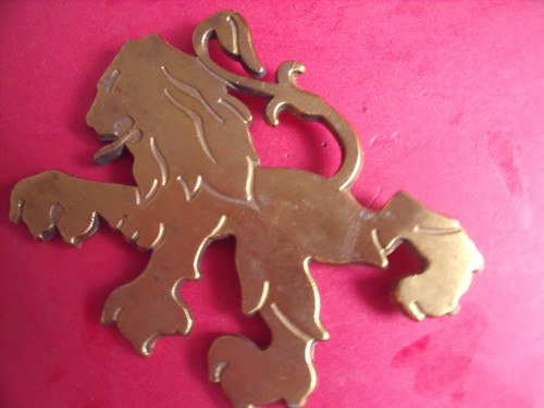 Mascotte calandre lion - de,