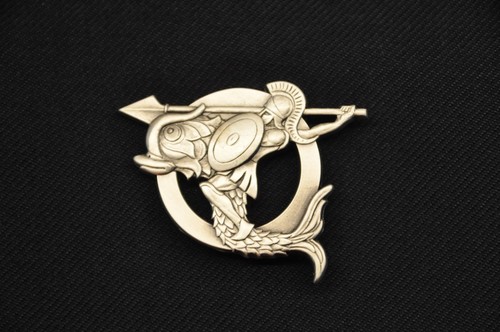 Insigne spécialité amphibie - spécialité,