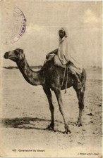 CPA AK ALGERIA Geiser 416