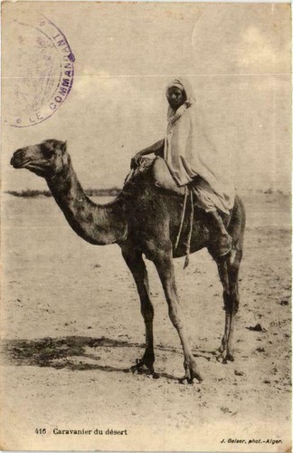 Cpa algeria geiser 416 - cpa,