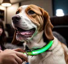 Collier LED Rechargeable USB Chien Chat Lumière Nuit Visibilité Confort Sécurité