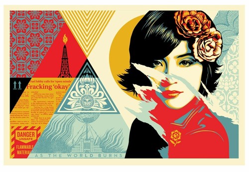 Shepard fairey open - shepard,