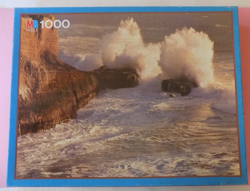 Puzzle 1000 pièces david - puzzle,