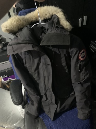 Canada goose montebello - canada,