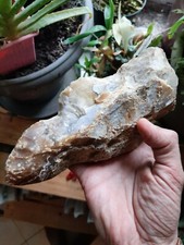 Large Acheulean / early Mousterian scraper with notch - Butchery tool Neandertal