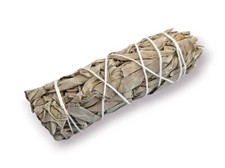 Sauge Blanche de Californie - Fagot de Purification