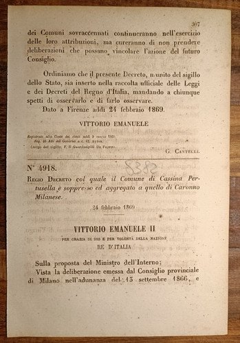 Cassina perusella 1869 - perusella,