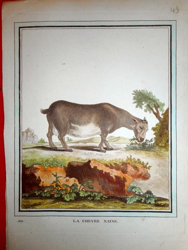 Gravure xviiie histoire - gravure,