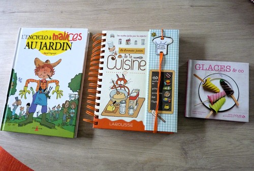 Lot livres recettes - cuisine,