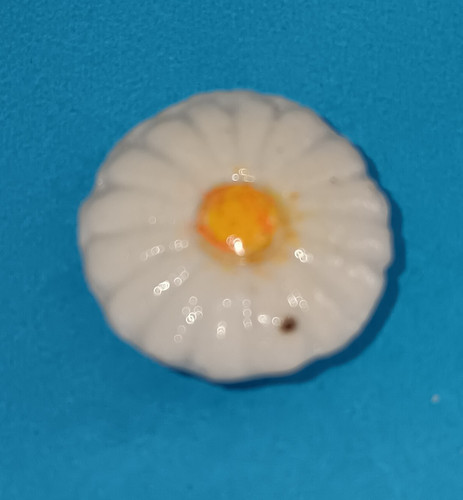 Feve 1ère époque allemande - 1ère,