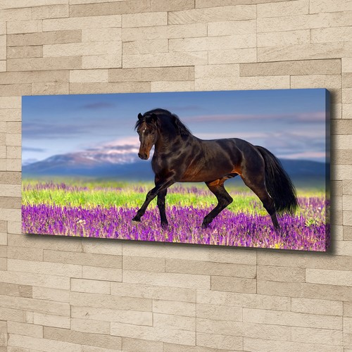 Tulup image sur - sur, toile