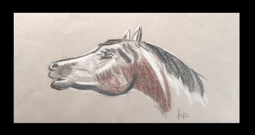 Dessin ancien cheval signé - ancien,