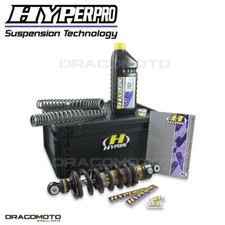 HONDA CBR 1100 XX Blackbird