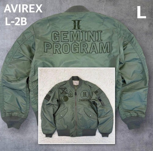 Avirex gemini program 2b - avirex,