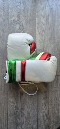 Hernandez premium gants - premium,