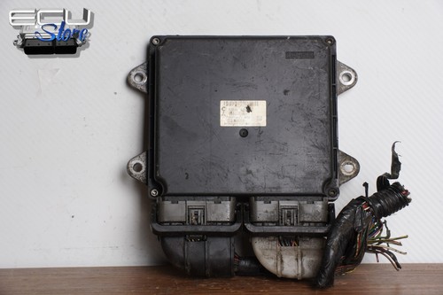 Moteur ecu centralita - moteur,