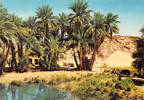 Egypt nubien - egypt,