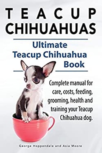 Teacup chihuahuas - teacup, chihuahuas.